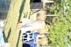 DSCF2563