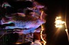DSCF2675
