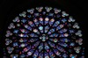 DSCF3554