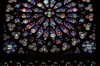 DSCF3555