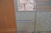 DSCF3646