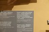 DSCF3708