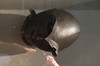 DSCF3746