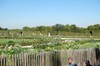 DSCF3977