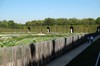 DSCF3978
