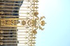 DSCF4204