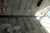DSCF4237