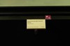 DSCF4337