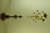 DSCF4350