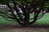 DSCF4418
