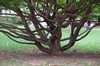 DSCF4419