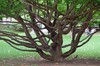 DSCF4420