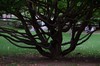 DSCF4421