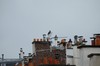 DSCF4423
