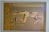 DSCF4464
