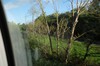 DSCF4590