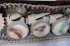 DSCF4788