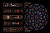 DSCF5639