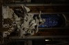 DSCF5694