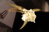 DSCF6507