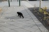 DSCF7041_Export