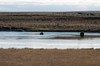 DSCF7117_Export
