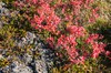 DSCF7139_Export