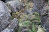 DSCF7155_Export