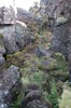 DSCF7156_Export