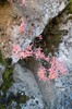 DSCF7157_Export