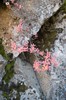 DSCF7158_Export