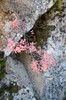 DSCF7159_Export