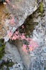 DSCF7160_Export