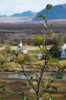 DSCF7168_Export