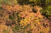 DSCF7171_Export