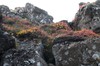 DSCF7177_Export