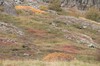 DSCF7181_Export