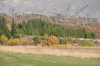 DSCF7183_Export