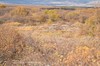 DSCF7218_Export