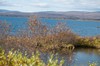 DSCF7219_Export
