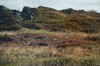DSCF7221_Export