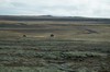 DSCF7229_Export