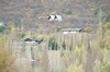 DSCF7238_Export