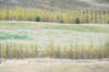 DSCF7250_Export