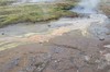 DSCF7259_Export