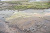 DSCF7260_Export
