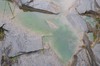 DSCF7338_Export