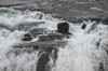 DSCF7381_Export