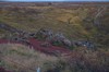 DSCF7396_Export