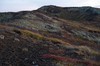 DSCF7408_Export